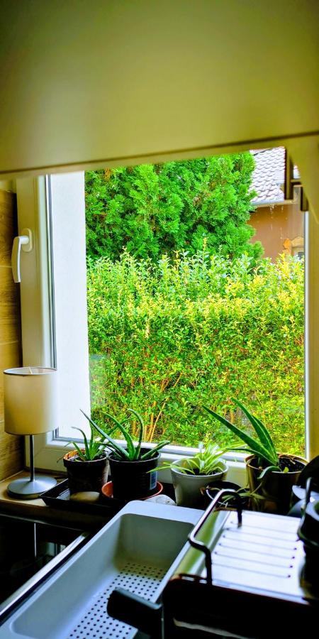 Arvalanyhaj Apartment *